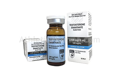 Testosterone Enanthate (Hilma) 10ml
